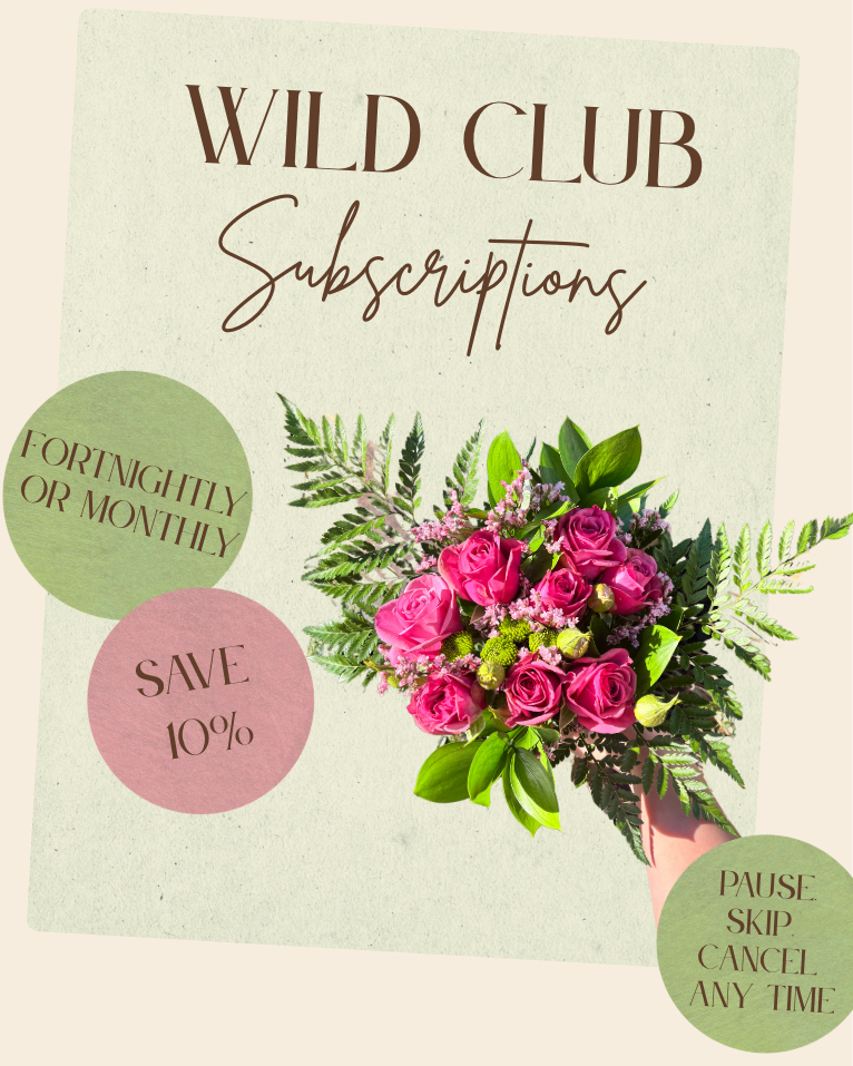 Wild Club | Fresh Flower Subscription